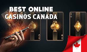 Discover the Best Casino Websites for Online Gambling
